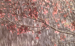The Seasonal Almanac: Summer Rainfall and Mars Blue Sunsets
